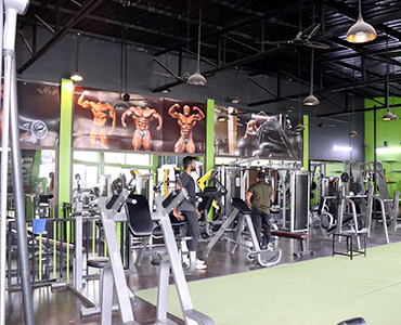 FitnessZone Workout Equipment Collection